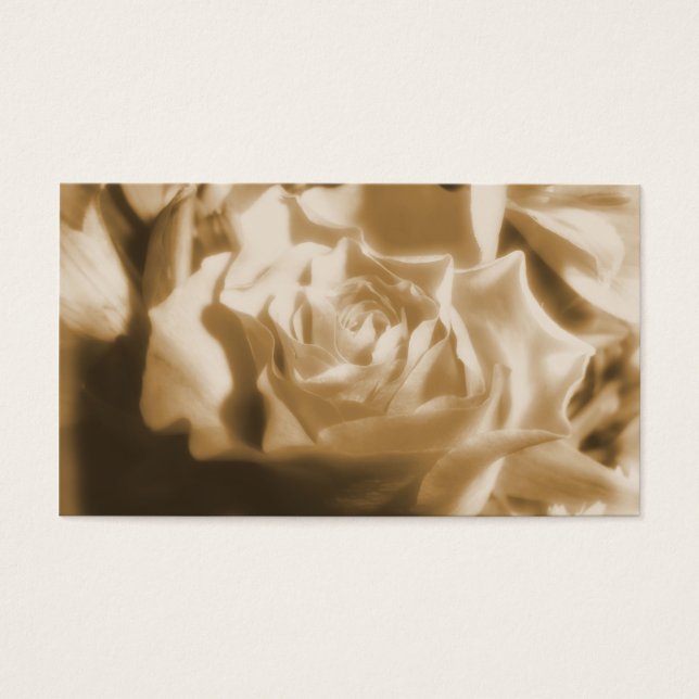 古いバラ (正面)