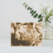 古いバラ ポストカード (スタンド正面)