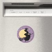 古いファシオンの魔女 マグネット (インサイチュ (食洗機))