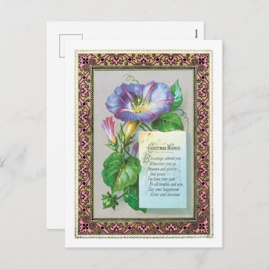 古いファッションドクリスマス、朝顔 シーズンポストカード (正面/裏面)