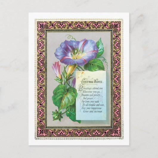 古いファッションドクリスマス、朝顔 シーズンポストカード (正面)