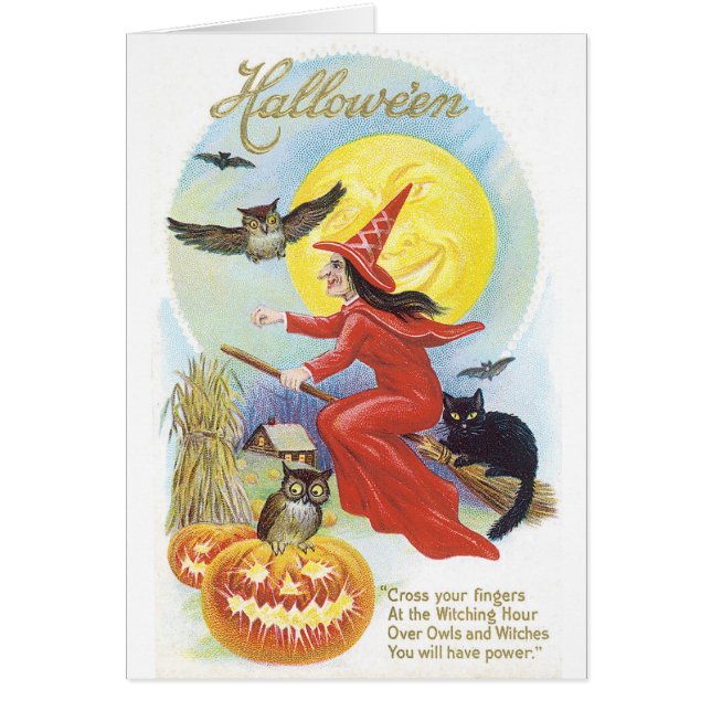 古いファッションドハロウィーン、魔女とフクロウ (正面)