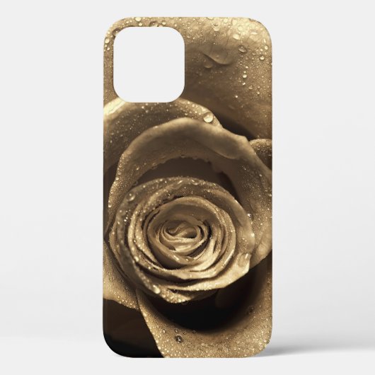 古いファッションドバラが近くにあり、水で濡れている Case-Mate iPhoneケース (裏面)