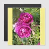 古いファッションドバラ (正面/裏面)