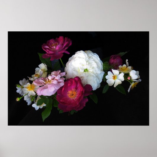 古いファッションドバラ ポスター (正面)