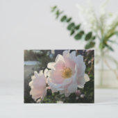 古いファッションドバラ ポストカード (スタンド正面)