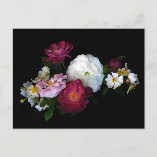 古いファッションドバラ ポストカード (正面)