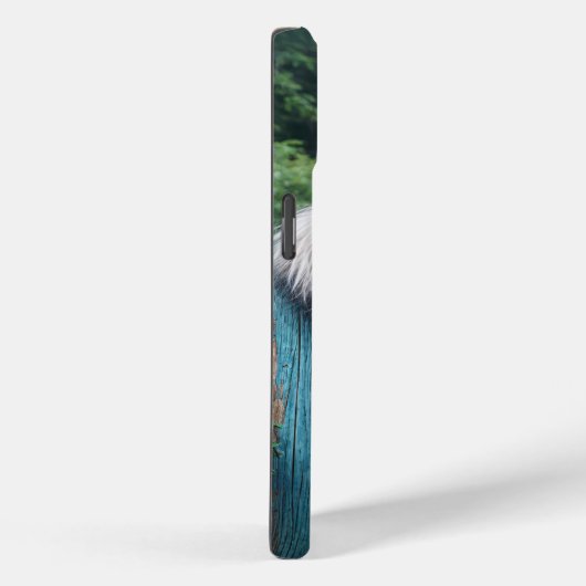 古いフェンスの上に髭のあるコリーのぞく Case-Mate iPhoneケース (裏面 / 右)