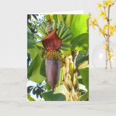 古いフロリダのバナナの挨拶状 カード (黄色い花)