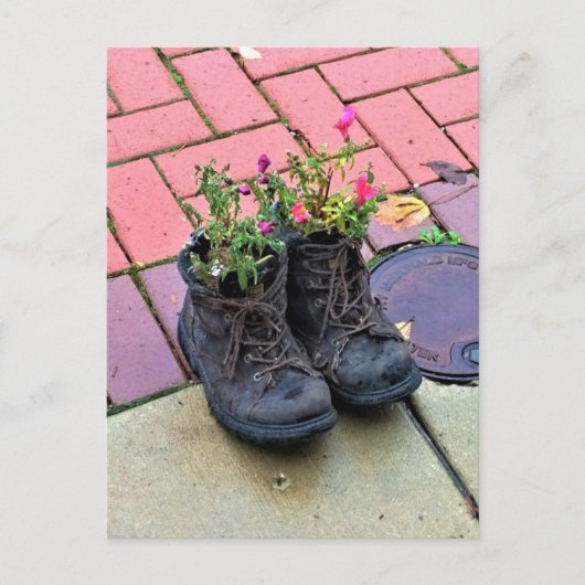 古いブーツの花 ポストカード (正面)