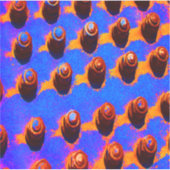 古いボルト シール (正面)