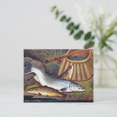 古いポストカード – サーモンとマス ポストカード (スタンド正面)