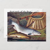 古いポストカード – サーモンとマス ポストカード (正面/裏面)