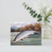 古いポストカード – サーモン ポストカード (スタンド正面)