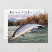 古いポストカード – サーモン ポストカード (正面/裏面)