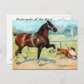 古いポストカード - ハックニー種の雄馬 ポストカード (正面/裏面)