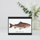 古いポストカード – ブラウンマス ポストカード (スタンド正面)