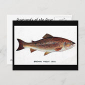 古いポストカード – ブラウンマス ポストカード (正面/裏面)