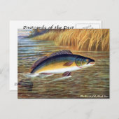 古いポストカード – ブラックベース ポストカード (正面/裏面)