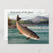 古いポストカード - マス ポストカード (正面/裏面)