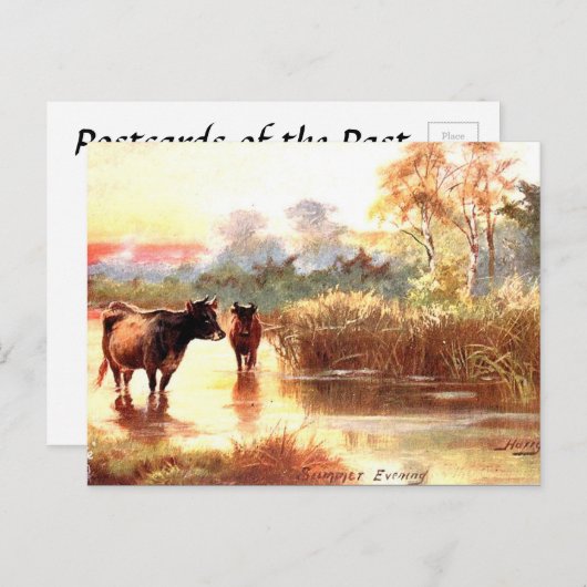 古いポストカード – 夏の夕べ ポストカード (正面/裏面)