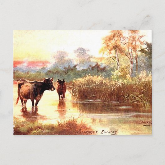 古いポストカード – 夏の夕べ ポストカード (正面)