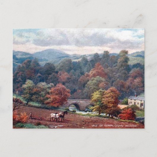 古いポストカード – Co Wicklow，アイルランド ポストカード (正面)
