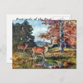 古いポストカード – Fallow Deer ポストカード (正面/裏面)