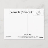 古いポストカード – Fallow Deer ポストカード (裏面)