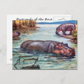 古いポストカード – Hippopotamus ポストカード (正面/裏面)