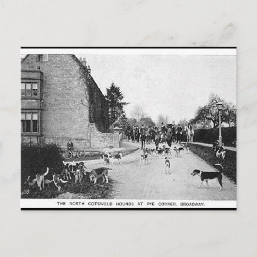 古いポストカード – N Cotswold Hounds,ブロードウェイ ポストカード (正面)