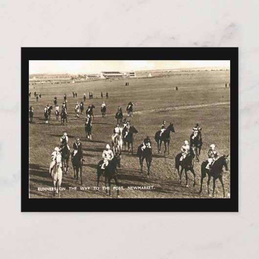古いポストカード – Newmarketの競走馬 ポストカード (正面)