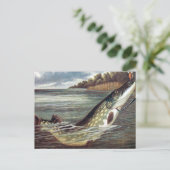 古いポストカード – Pike ポストカード (スタンド正面)