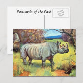 古いポストカード – Rhinoceros ポストカード (正面/裏面)