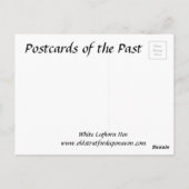 古いポストカード – Whire Leghorn Hen ポストカード (裏面)