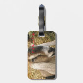 古いヤギクラブラベル ラゲッジタグ (裏面縦)