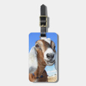 古いヤギクラブ ラゲッジタグ (正面縦)