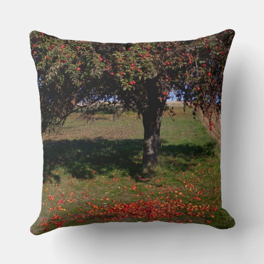 古いリンゴの木 クッション (裏面)