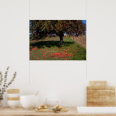 古いリンゴの木 ポスター (キッチン)