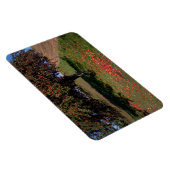 古いリンゴの木 マグネット (右側)