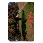 古いリンゴの木 マグネット (縦)