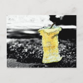 古いリンゴ ポストカード (正面)