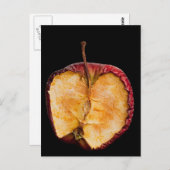 古いリンゴ ポストカード (正面/裏面)