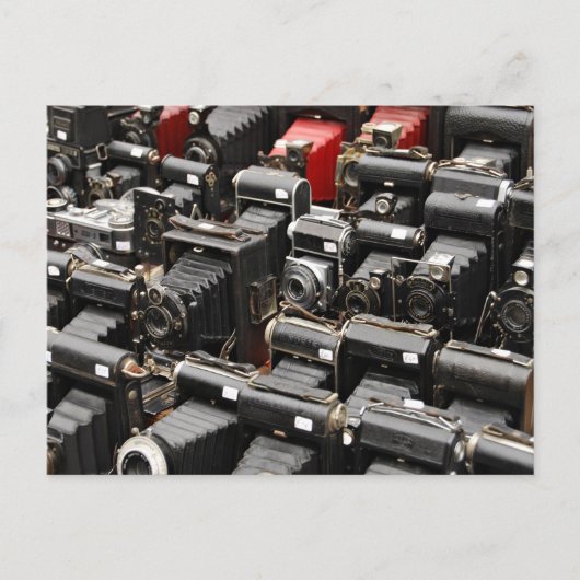 古いレトロカメラを並べる ポストカード (正面)
