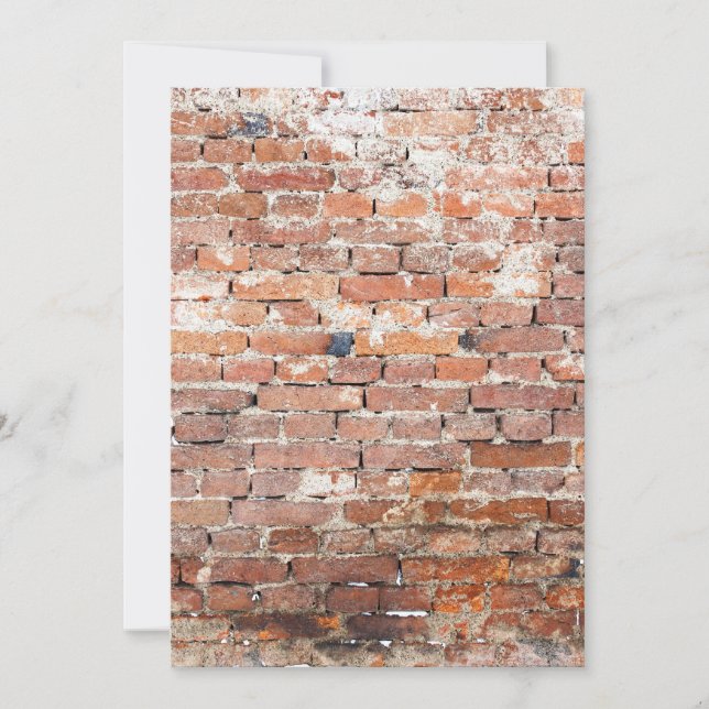 古いレンガの壁 (正面)