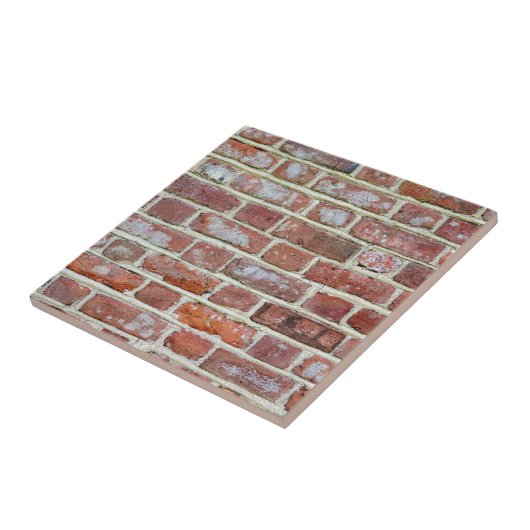 古いレンガの壁 タイル (側面)