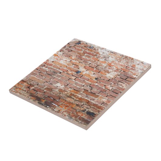 古いレンガの壁 タイル (側面)