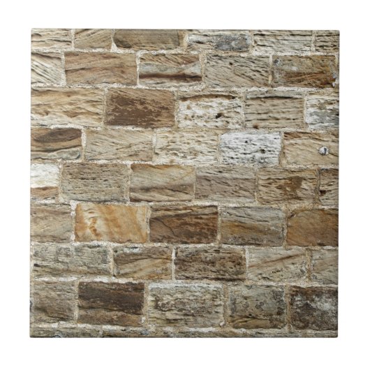 古いレンガ壁 タイル (正面)