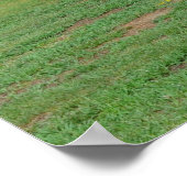 古いログキャビン ポスター (角)