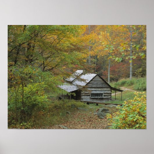古いログキャビン ポスター (正面)